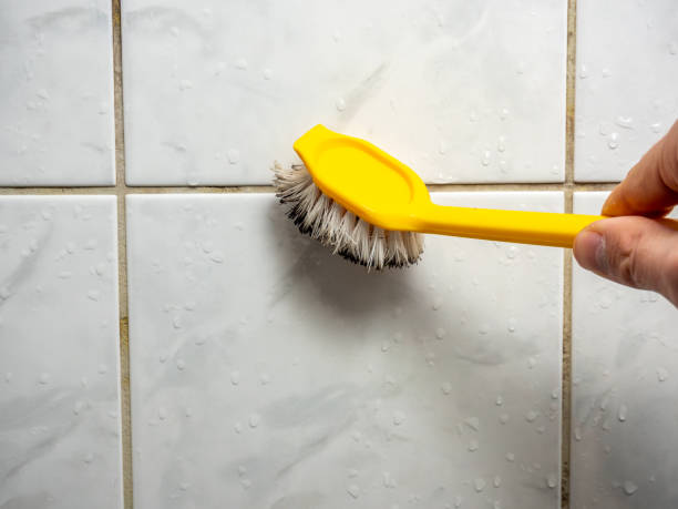 Best Fast Mold Removal  in Moose Wilson Road, WY